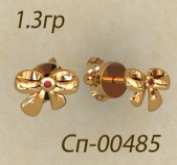 Сп00485