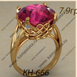 КН-666