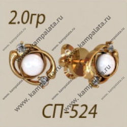 Сп524