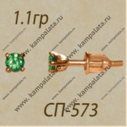 Сп573